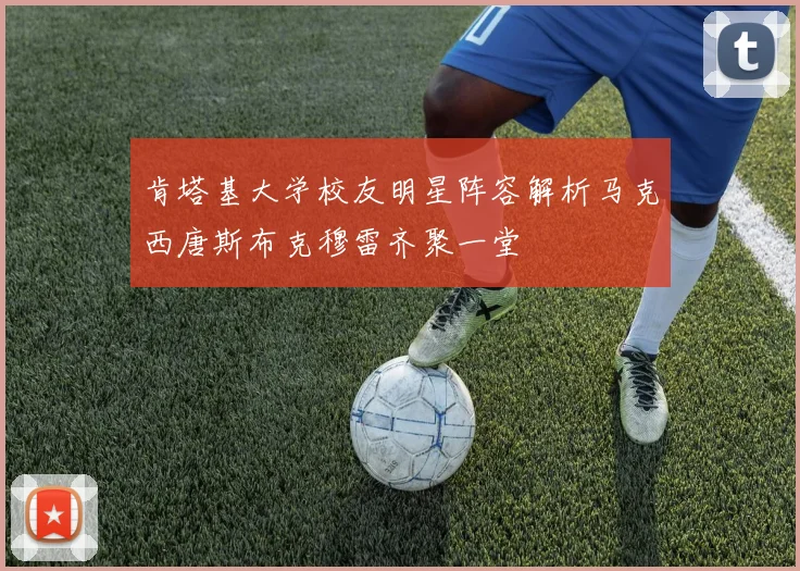 肯塔基大学校友明星阵容解析马克西唐斯布克穆雷齐聚一堂